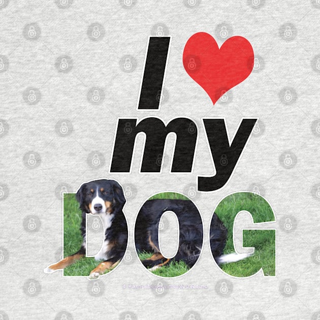 I love (heart) my dog - Bernese oil painting word art by DawnDesignsWordArt